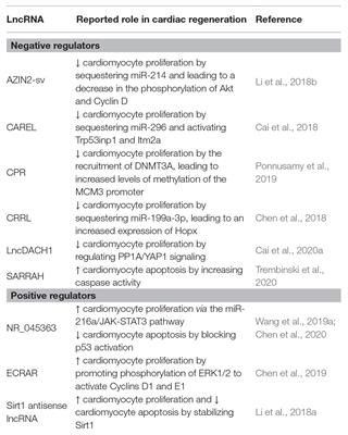 Age-Related Pathways in Cardiac Regeneration: A Role for lncRNAs?